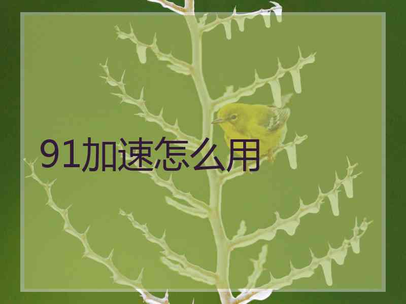 91加速怎么用