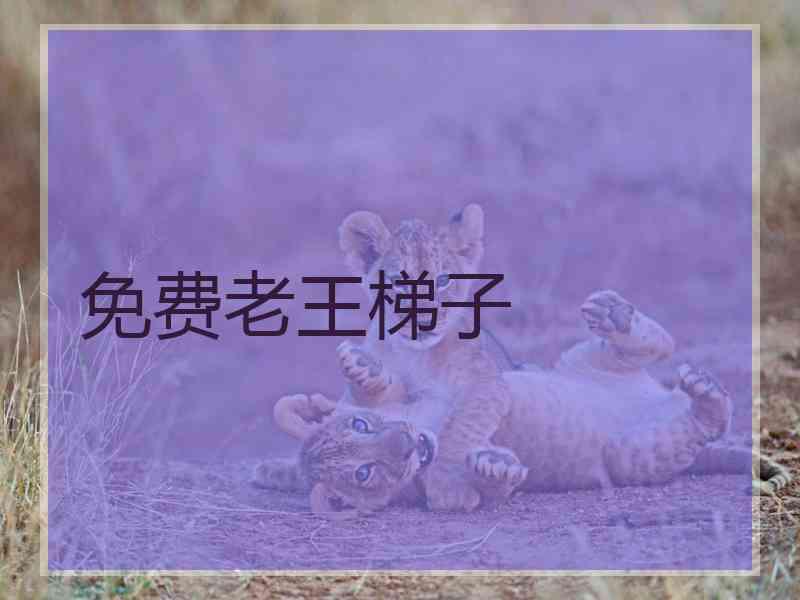 免费老王梯子