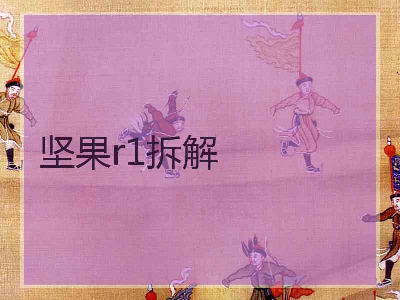 坚果r1拆解