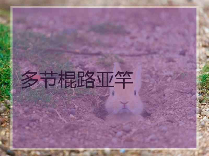 多节棍路亚竿