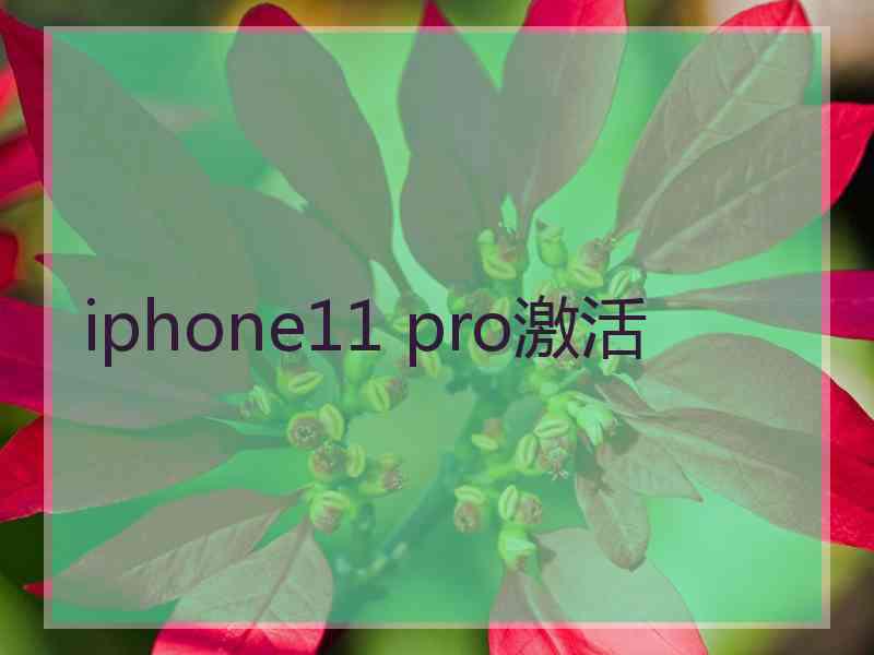 iphone11 pro激活