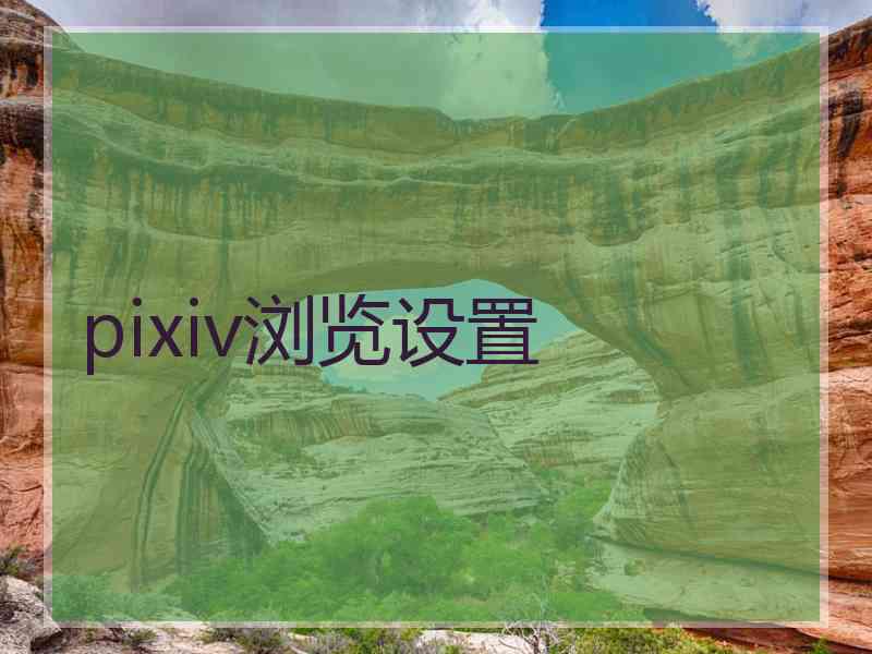 pixiv浏览设置
