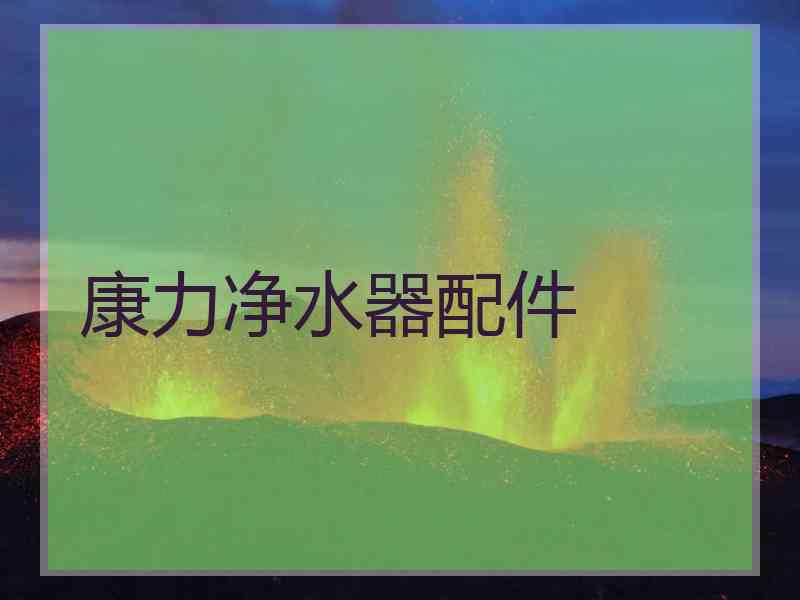 康力净水器配件