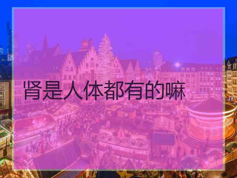 肾是人体都有的嘛