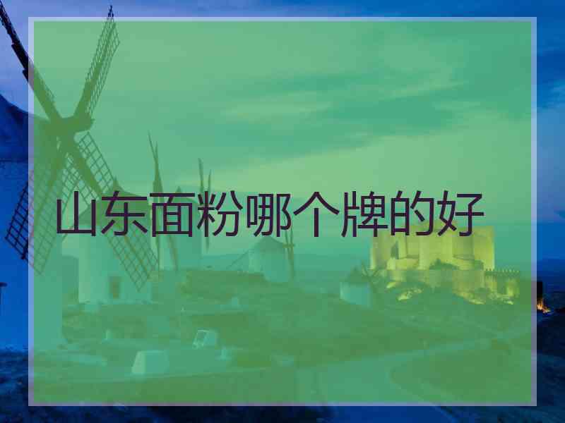 山东面粉哪个牌的好
