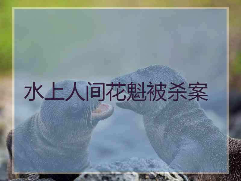 水上人间花魁被杀案