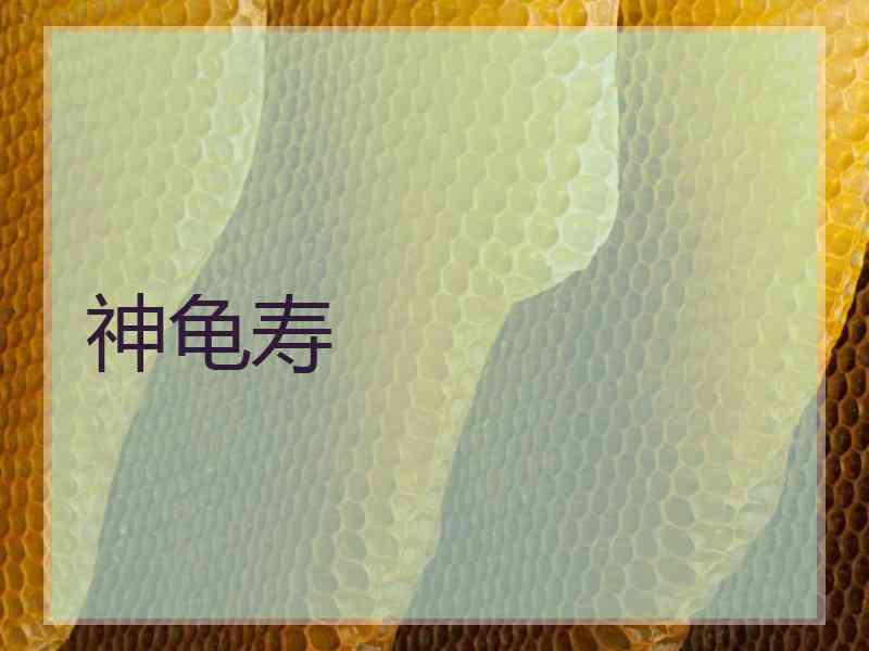神龟寿