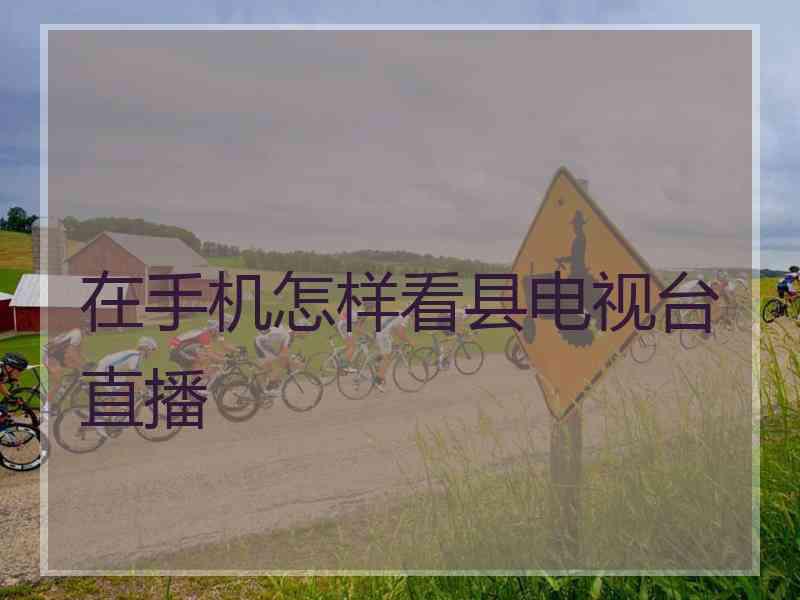 在手机怎样看县电视台直播
