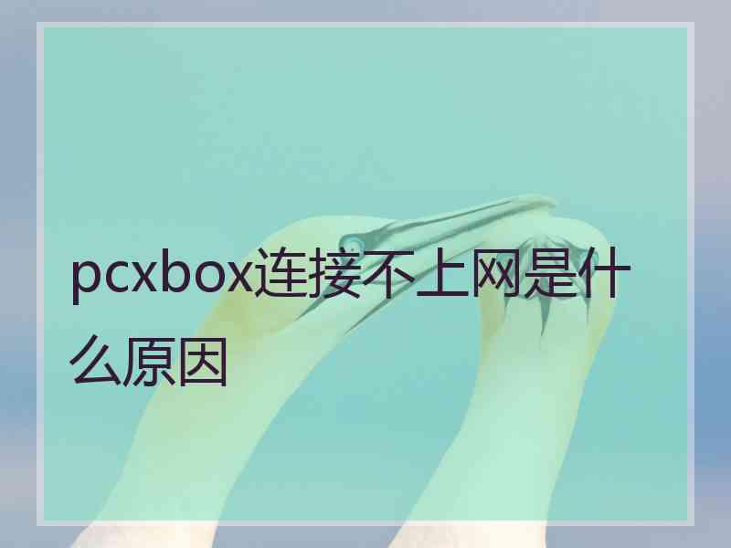 pcxbox连接不上网是什么原因