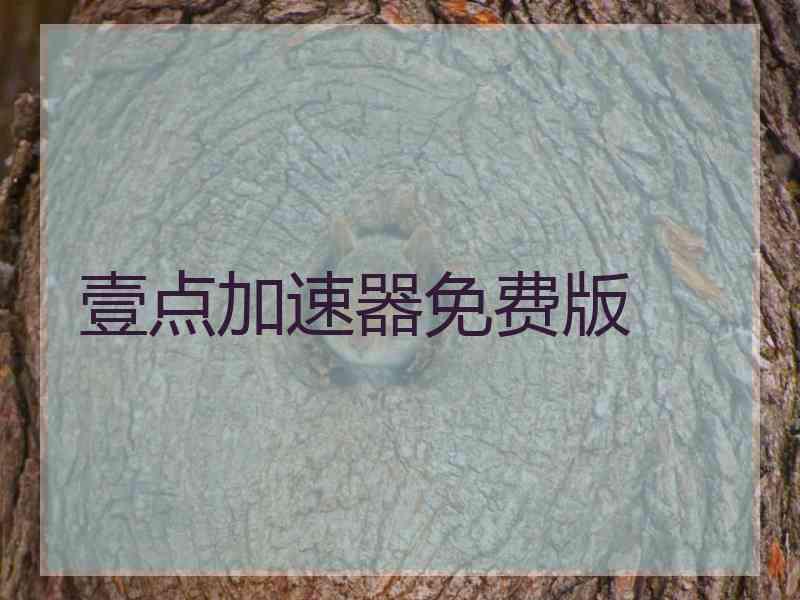 壹点加速器免费版