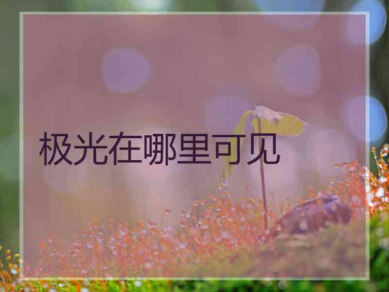 极光在哪里可见
