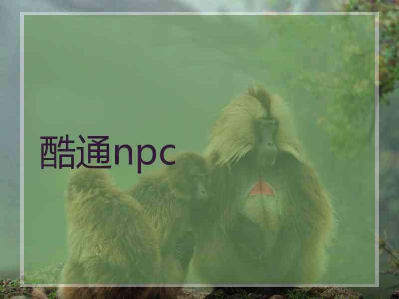 酷通npc