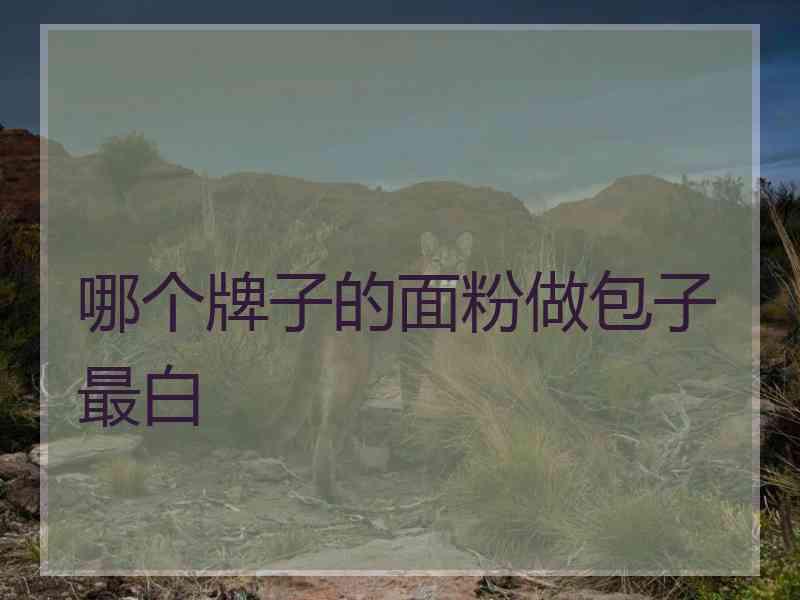 哪个牌子的面粉做包子最白