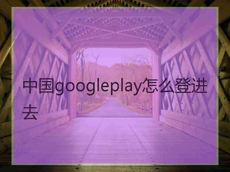 中国googleplay怎么登进去