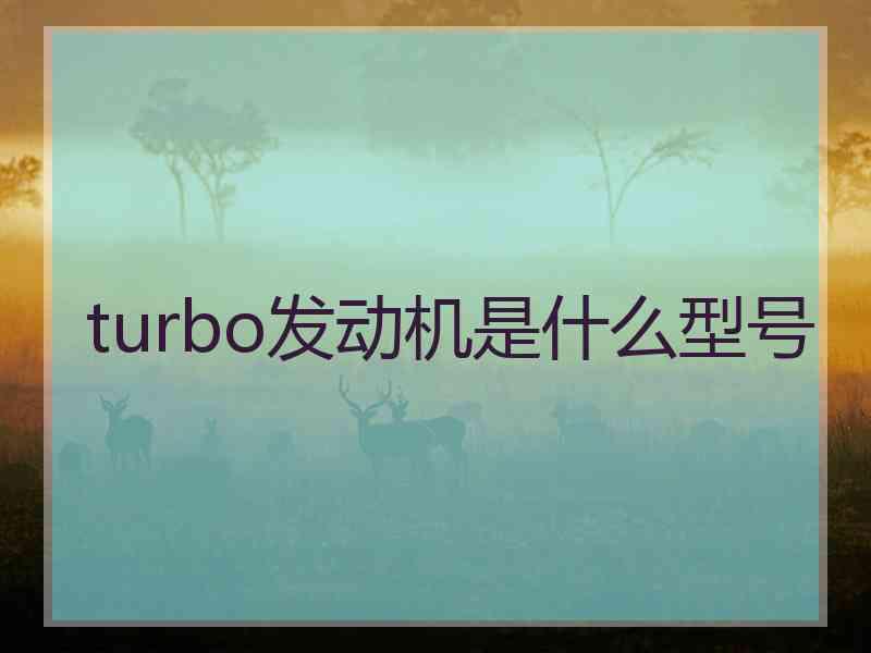turbo发动机是什么型号