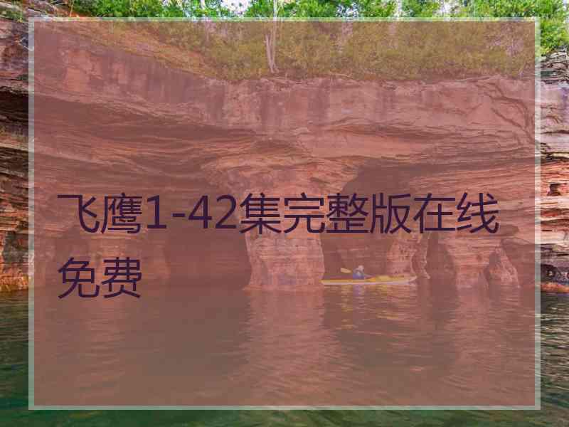 飞鹰1-42集完整版在线免费