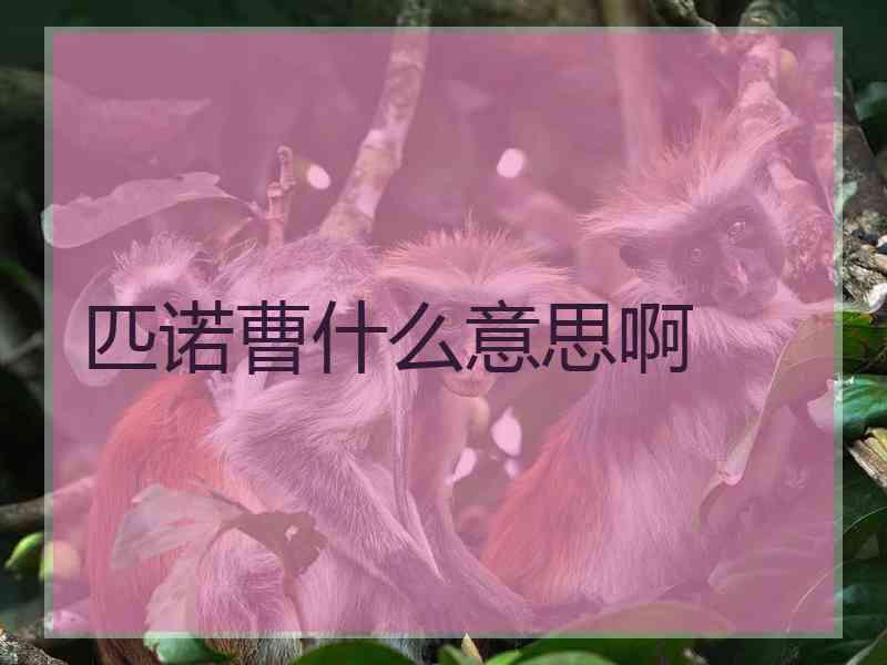 匹诺曹什么意思啊
