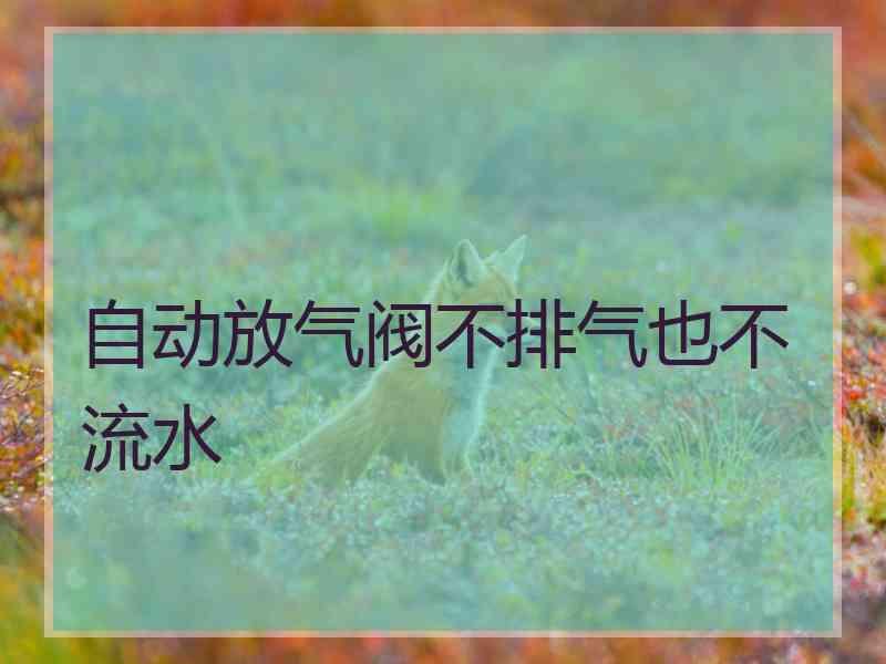 自动放气阀不排气也不流水