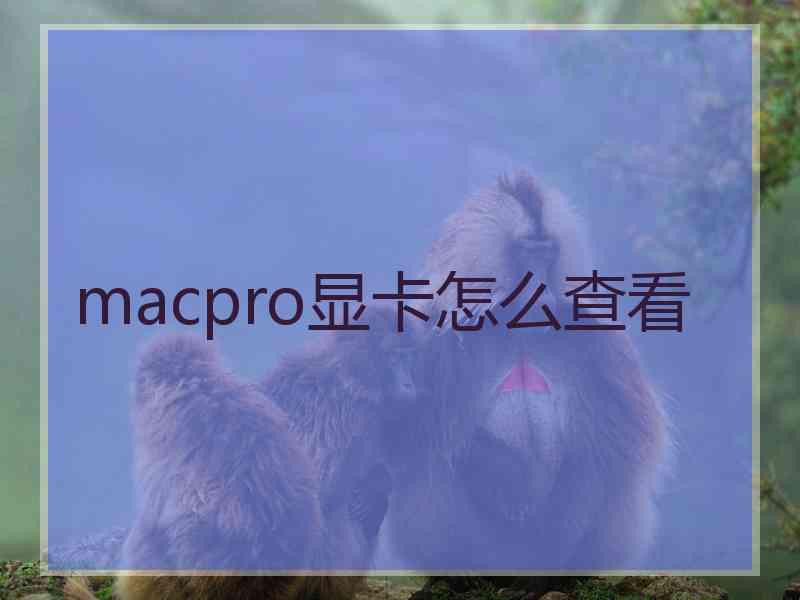 macpro显卡怎么查看