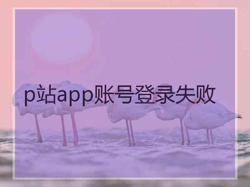 p站app账号登录失败