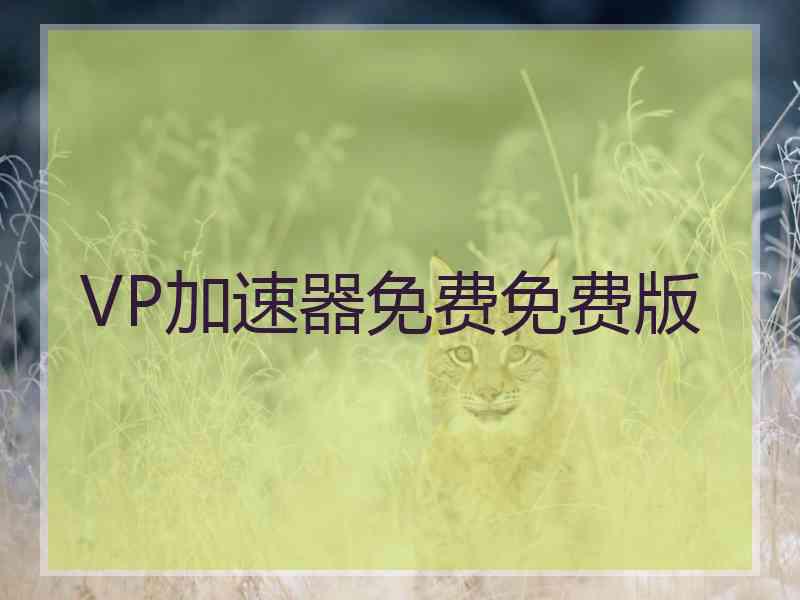 VP加速器免费免费版