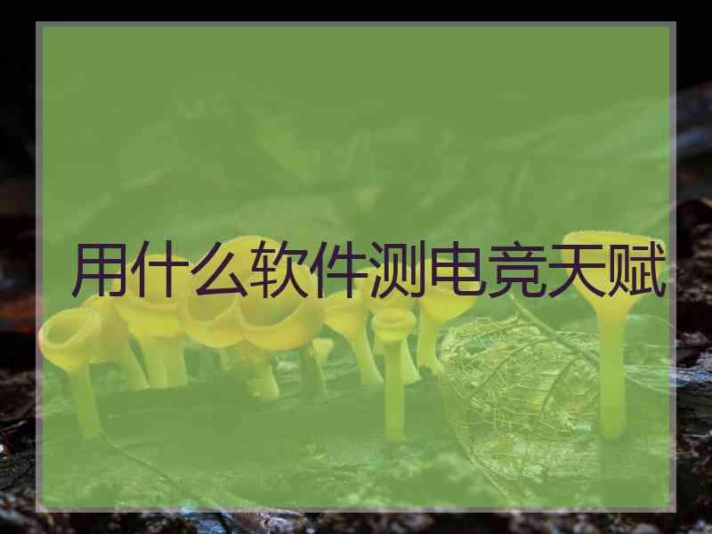 用什么软件测电竞天赋