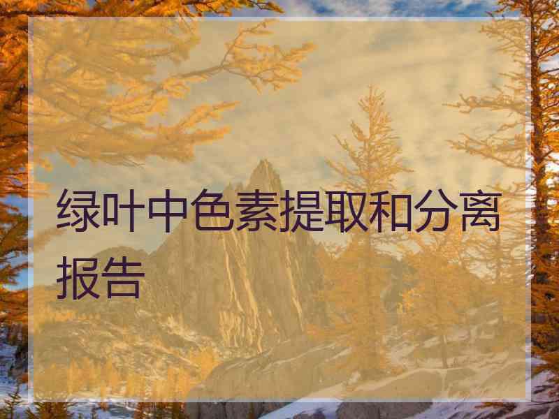 绿叶中色素提取和分离报告