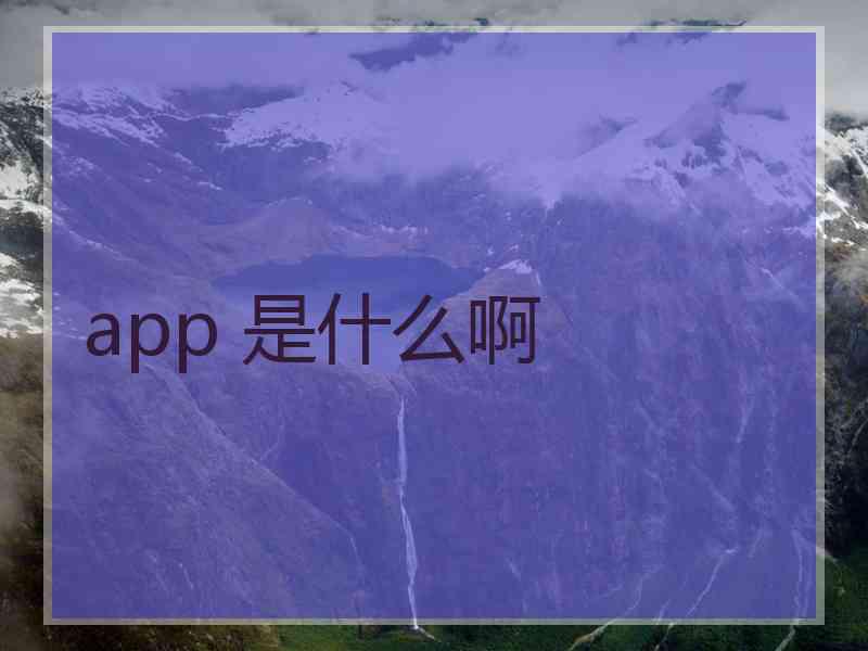 app 是什么啊