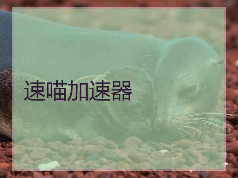 速喵加速器