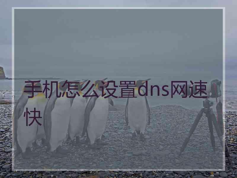 手机怎么设置dns网速快