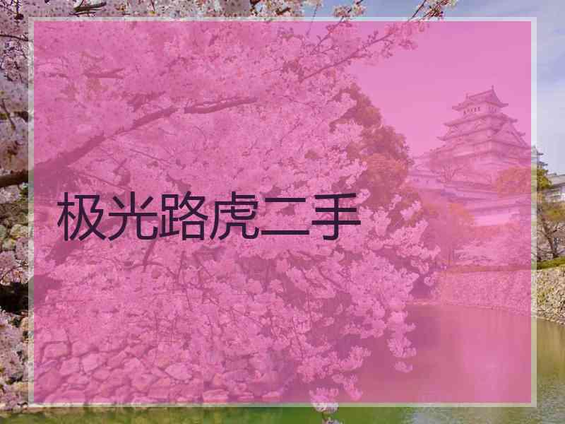 极光路虎二手