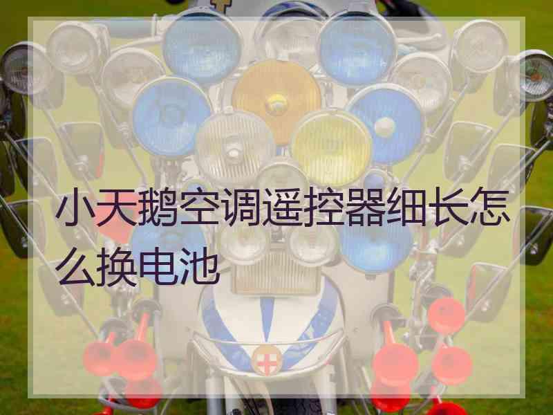 小天鹅空调遥控器细长怎么换电池