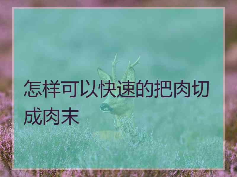 怎样可以快速的把肉切成肉末