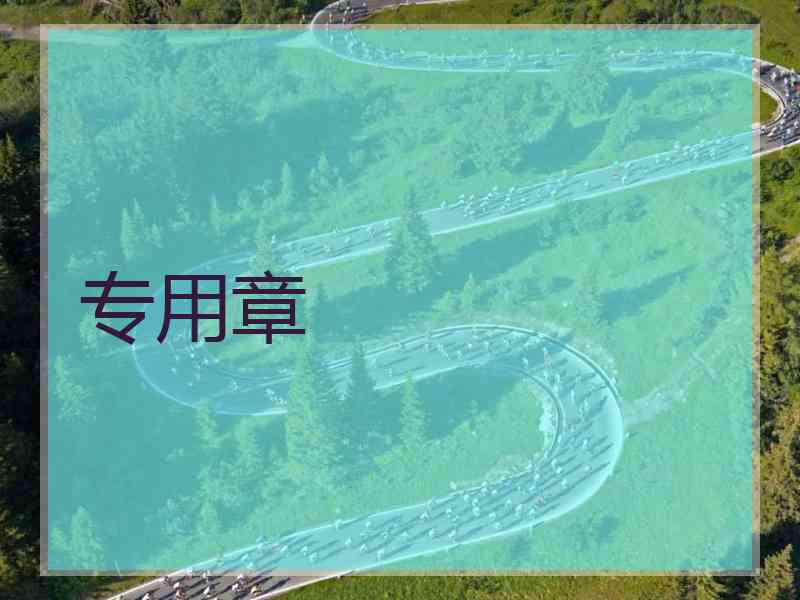 专用章