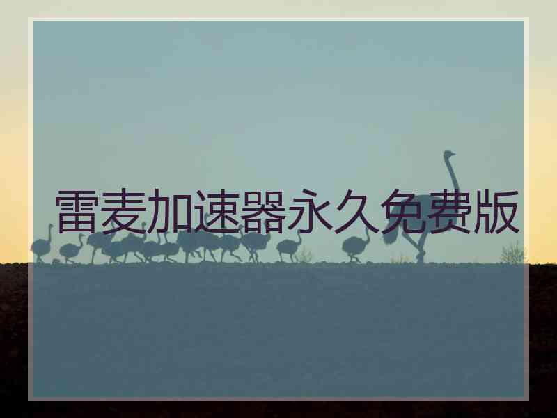 雷麦加速器永久免费版