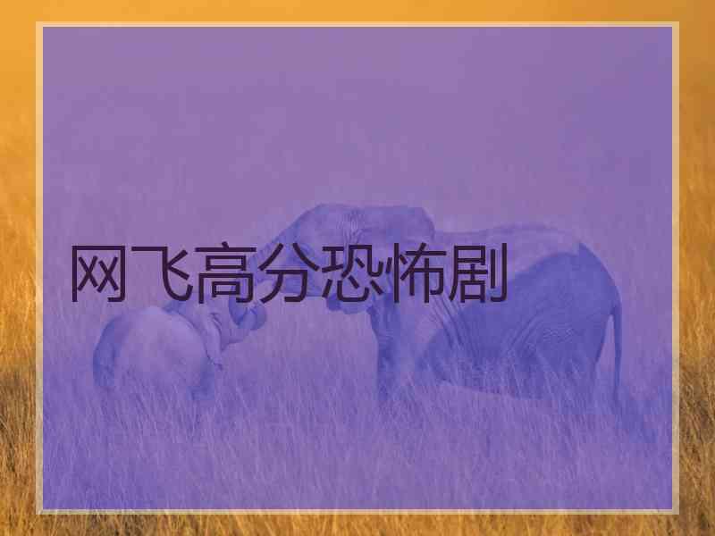 网飞高分恐怖剧