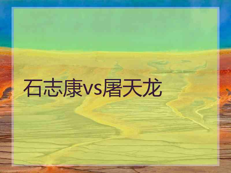石志康vs屠天龙