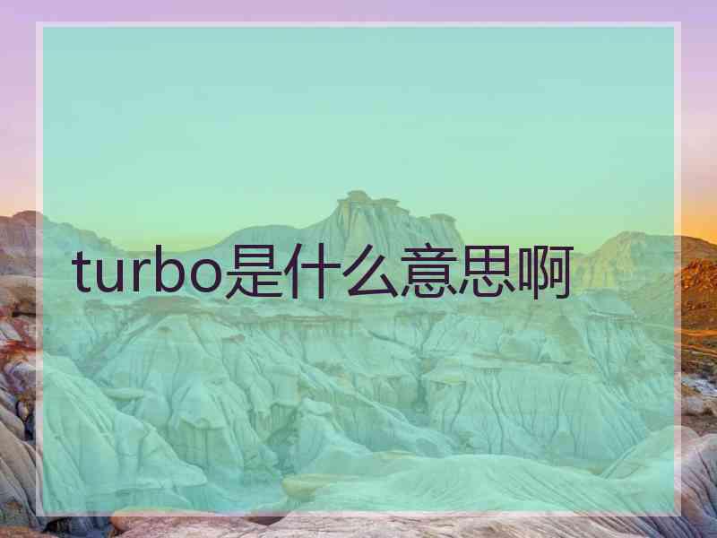 turbo是什么意思啊