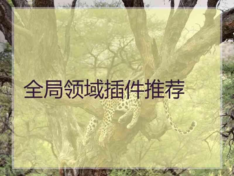 全局领域插件推荐