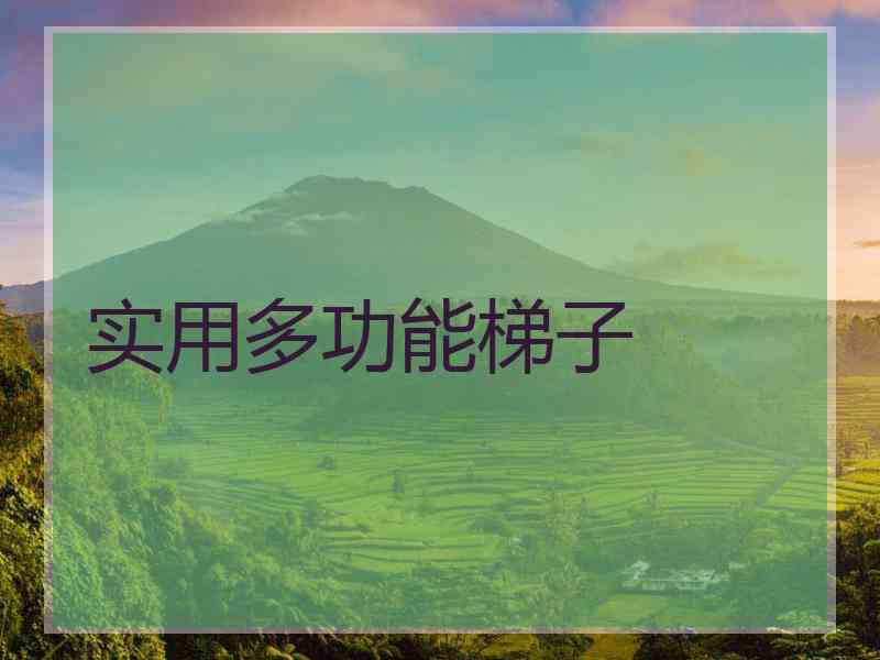 实用多功能梯子