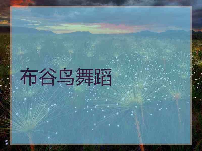 布谷鸟舞蹈