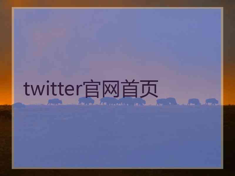 twitter官网首页