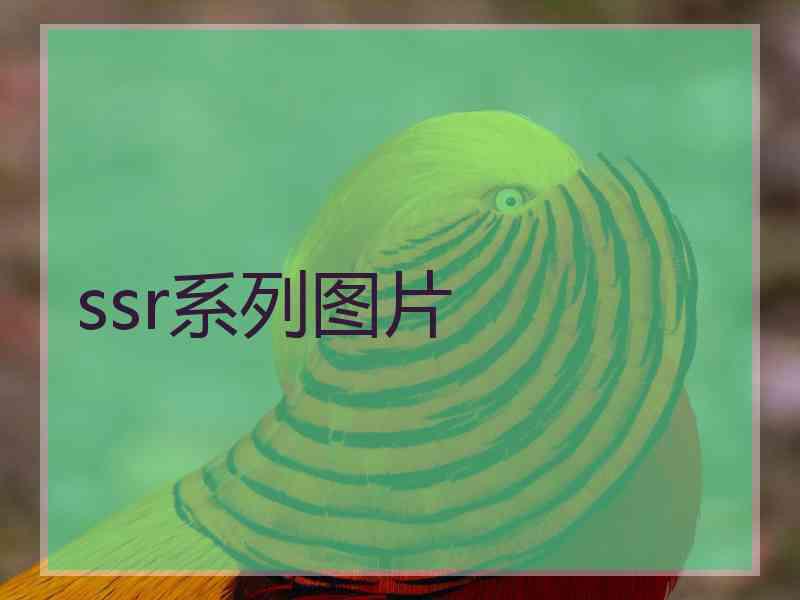 ssr系列图片