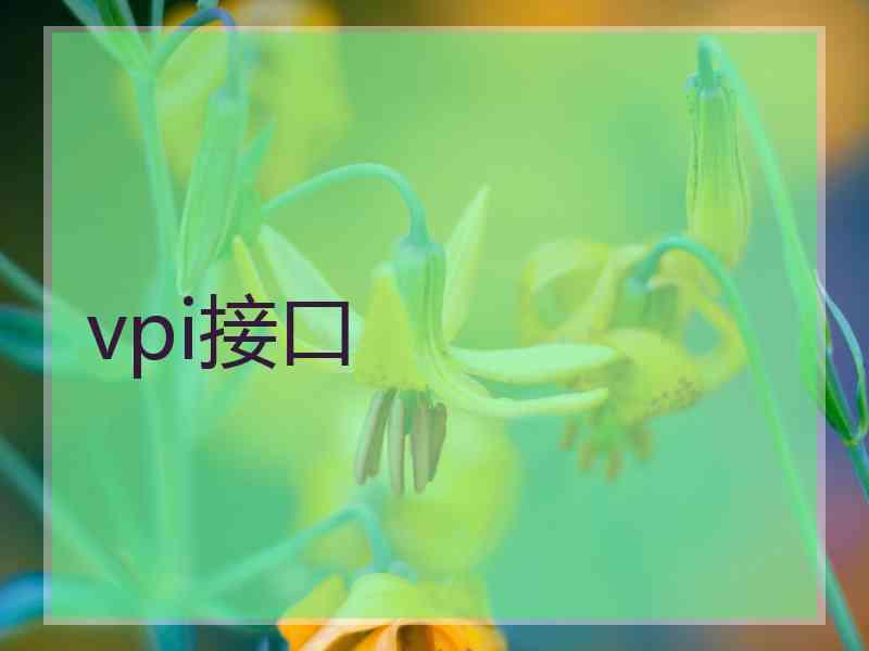 vpi接口