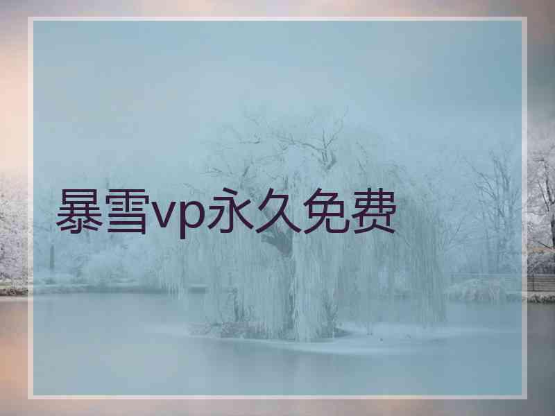 暴雪vp永久免费