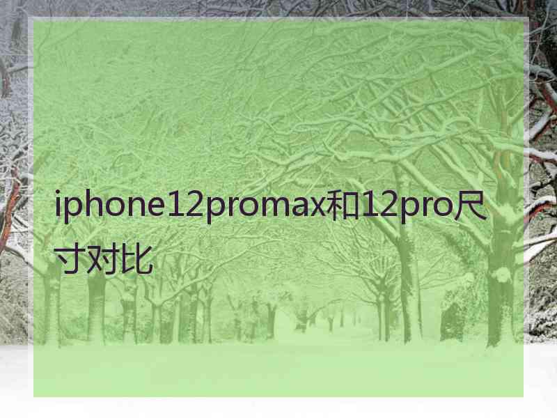 iphone12promax和12pro尺寸对比