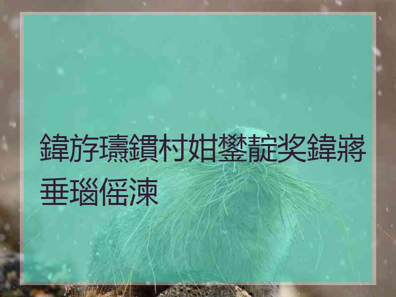 鍏斿瓙鏆村姏鐢靛奖鍏嶈垂瑙傜湅