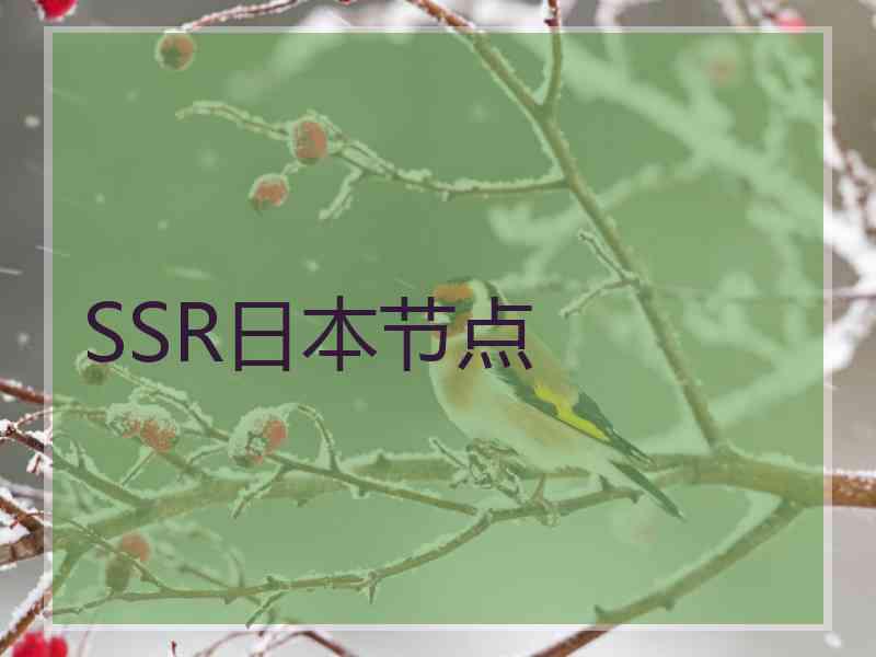 SSR日本节点