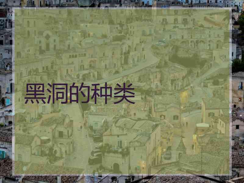 黑洞的种类