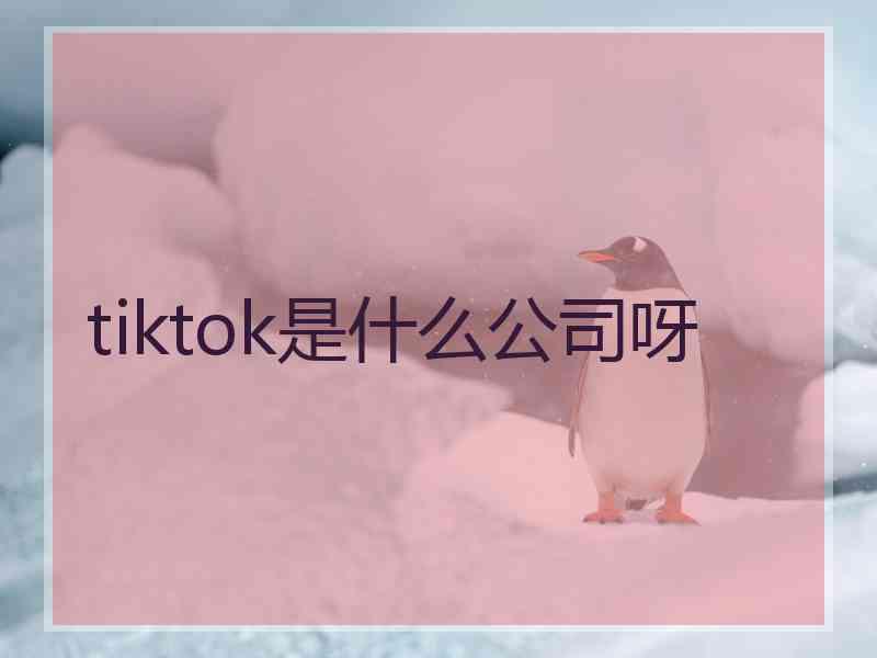 tiktok是什么公司呀